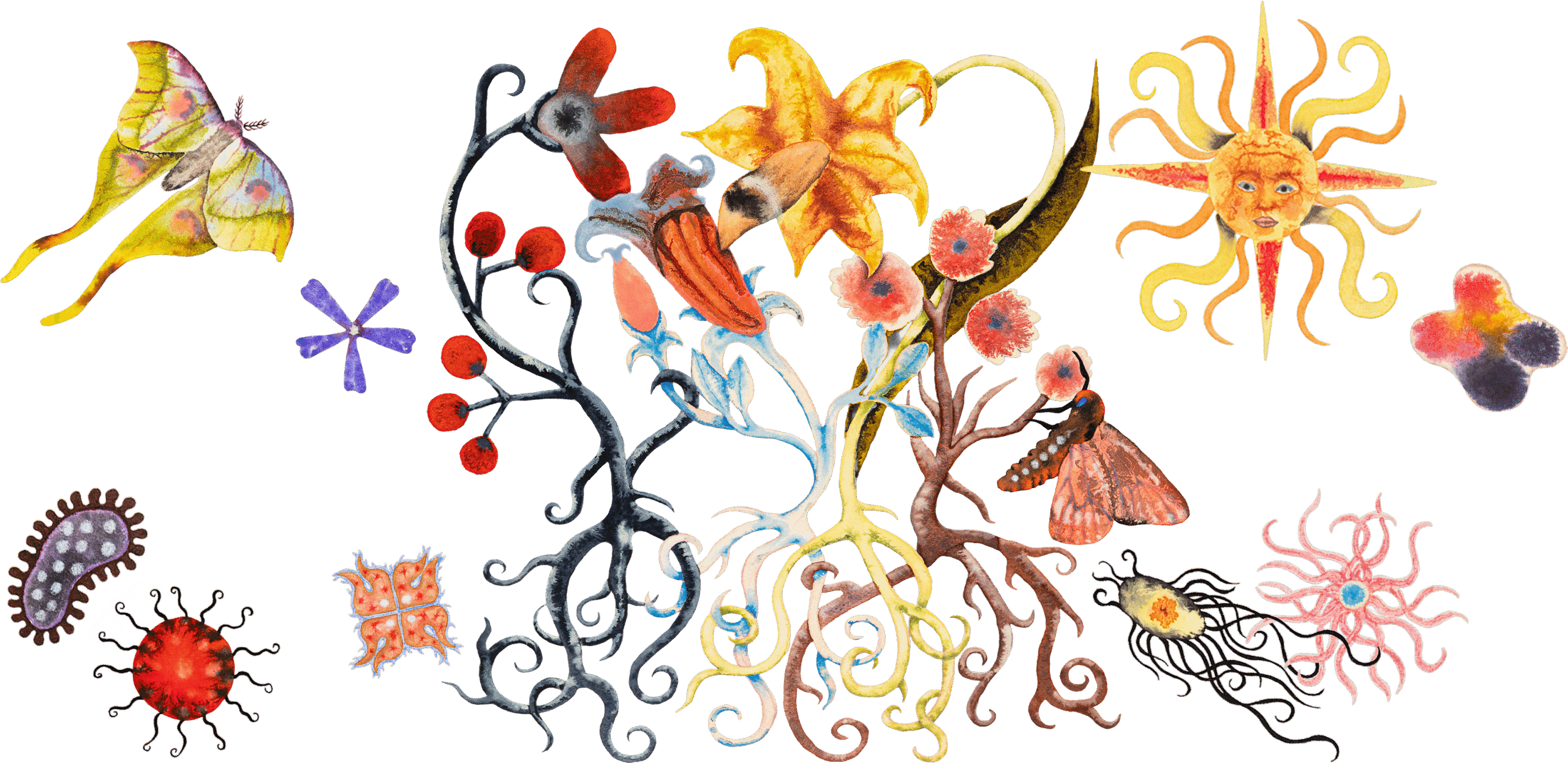 A watercolor collage of spindly rooted plants surrounded by depictions of bugs, bacteria, rain and sun.