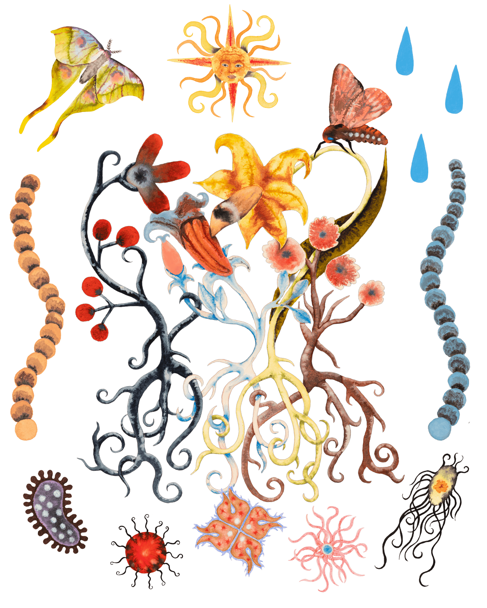 A watercolor collage of spindly rooted plants surrounded by depictions of bugs, bacteria, rain and sun.