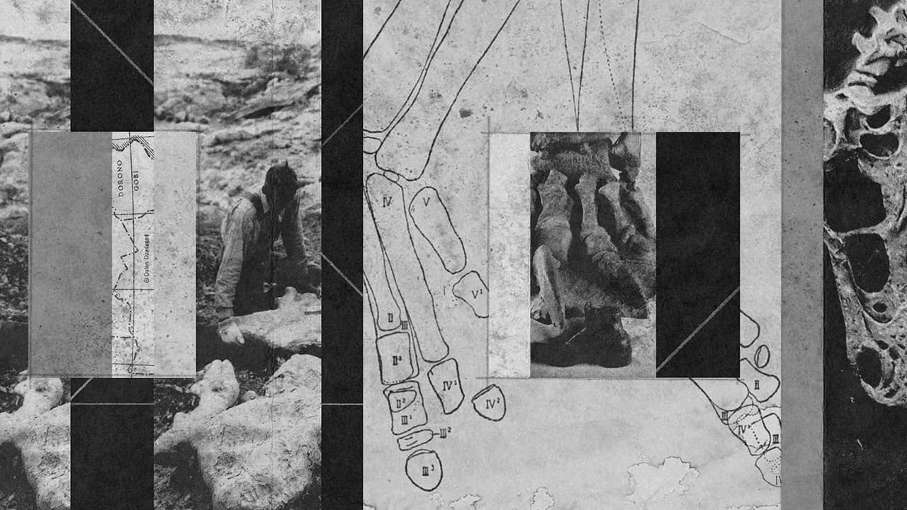 A collage of paleontologists on a dig with diagrams and photos of dinosaur bones.