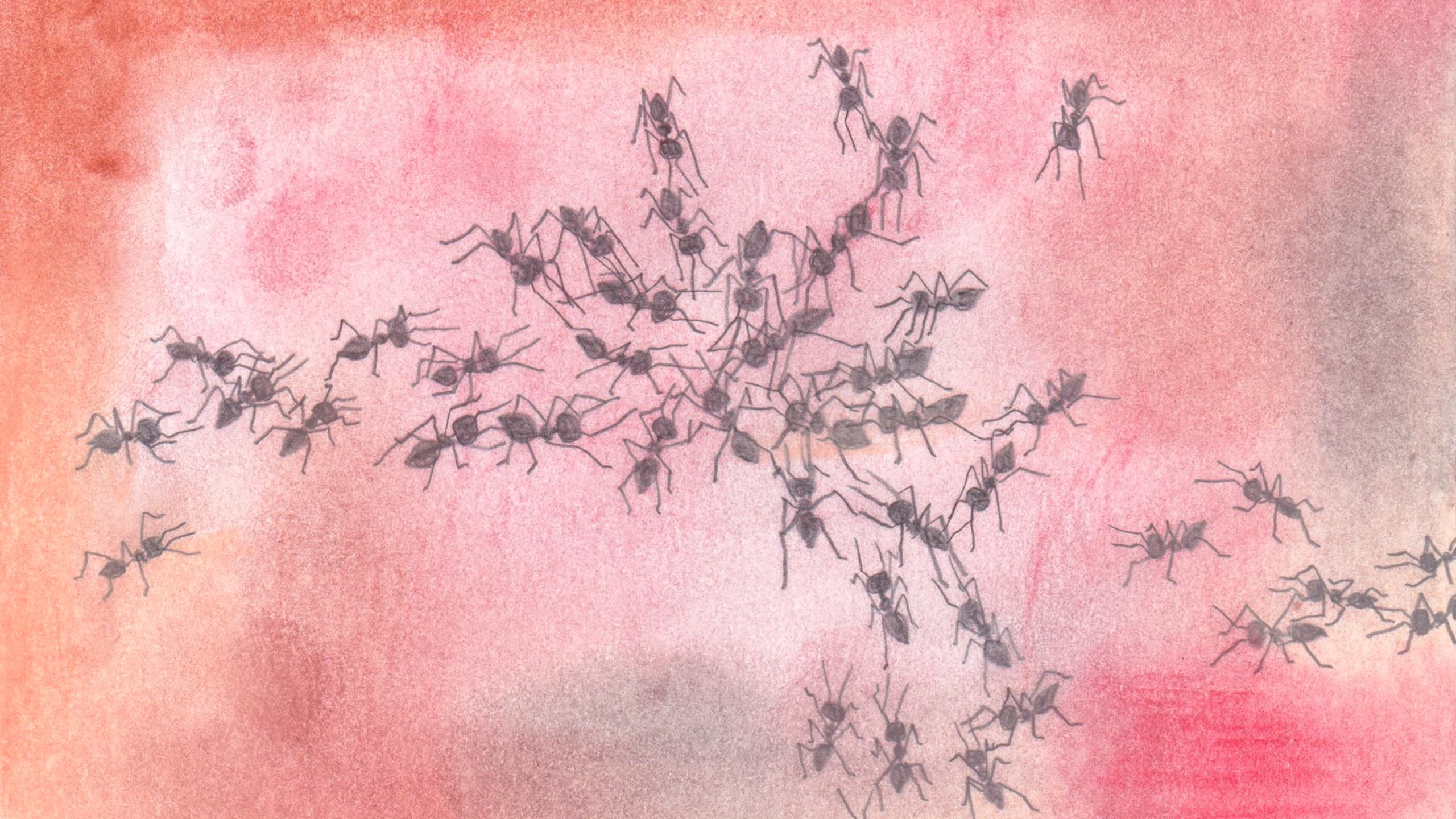 A pencil drawing of ants crawling on a gradient background